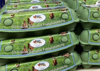 Eier in Bioqualität