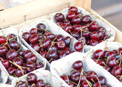 Erdbeeren und Kirschen vom Hof Bannick