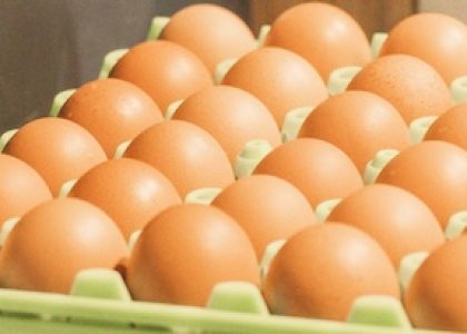 Frische Eier in Bioqualität vom Hof Bannick