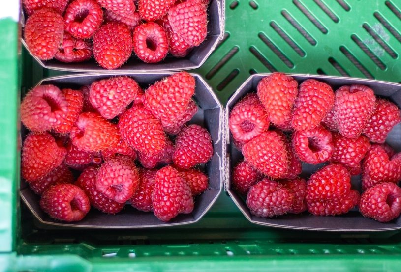 Himbeeren vom Hof Bannick Wochenmarkt