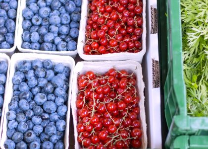 Johannisbeeren und Blaubeeren vom Hof Bannick