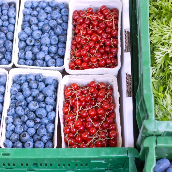 Johannisbeeren und Blaubeeren vom Hof Bannick